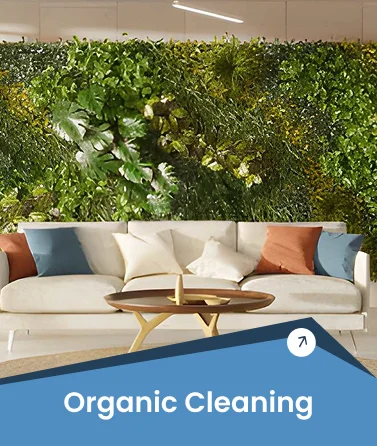 Organbic Cleaning