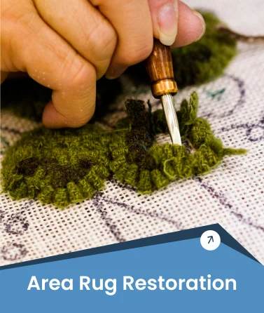 Area Rug Restoration