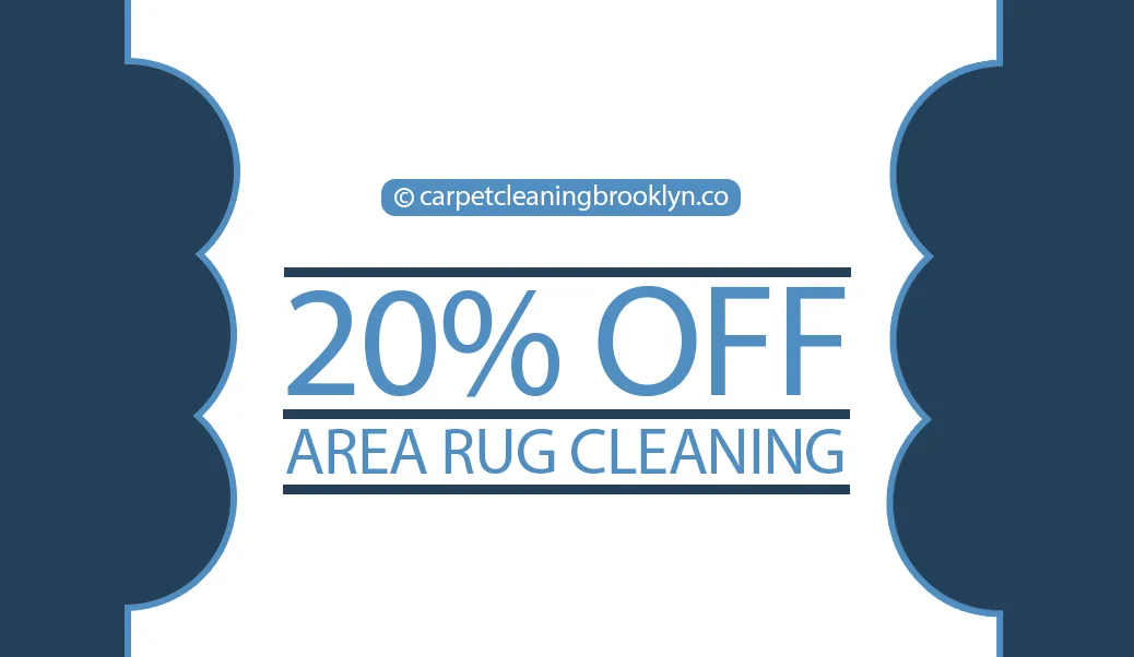 Carpet and Area Rug Cleaning